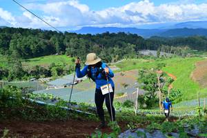 BIB: 
                            <button type="button" onclick="openModal(13382712)" class="btn btn-primary btn-sm float-right btn-popup" data-toggle="modal" data-target=".modal-high-quality">
                        <i class="fas fa-shopping-cart"></i> Add to Cart
                    </button>
                                            <button type="button" onclick="isThisMe(13382712, true)" class="btn btn-success btn-sm float-right btn-popup btn-isme hidden" data-toggle="tooltip" data-placement="bottom" title="นี่คือรูปของคุณใช่ไหม คลิกที่นี่เพื่อเอาเข้าอัลบั้ม">
                        <i class="fas fa-plus"></i> Add to album
                    </button>
                    <button type="button" onclick="isThisMe(13382712, false)" class="btn btn-warning btn-sm float-right btn-popup btn-isnotme hidden">
                        <i class="fas fa-ban"></i> Remove from album
                    </button>